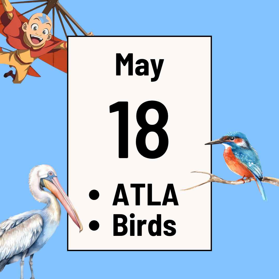 ATLA Trivia &amp; Bird Trivia