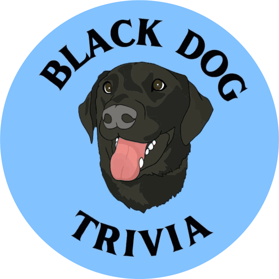 Black Dog Trivia
