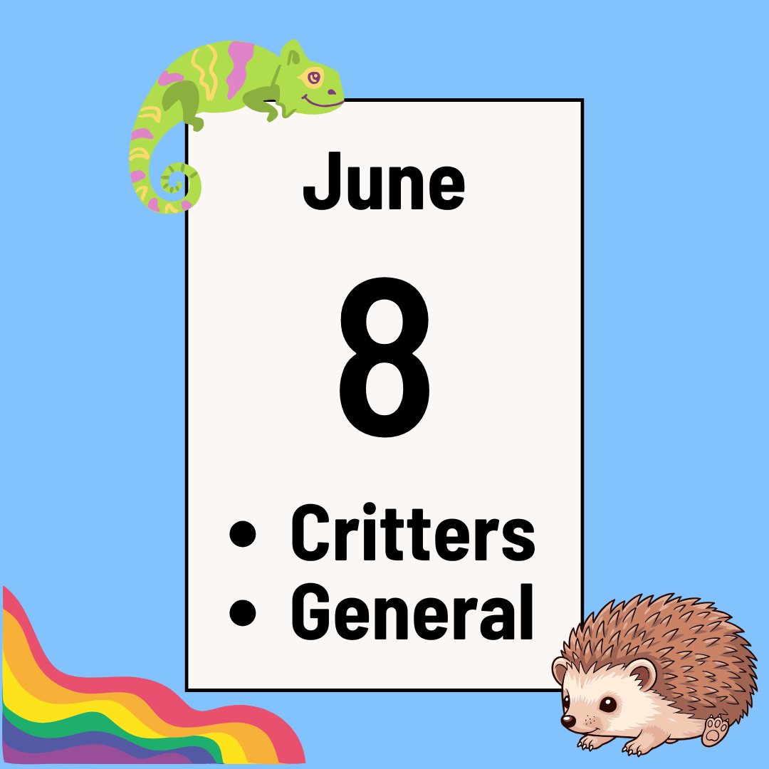 General Trivia (Pride edition) &amp; Critter Trivia